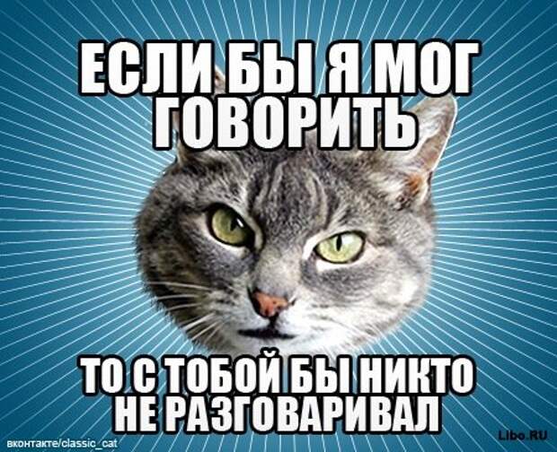 Мем: Типичный Кот