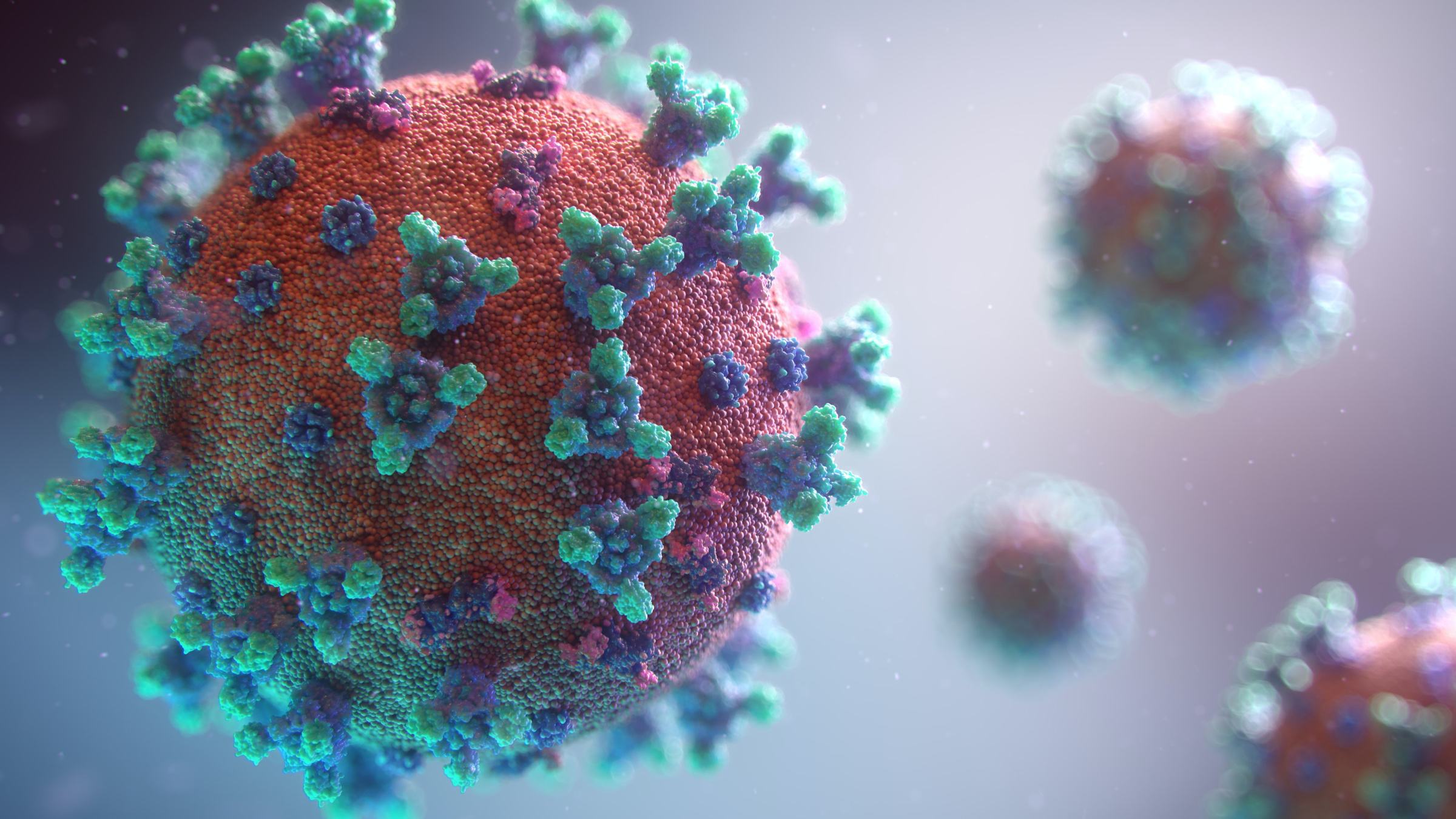 Фото © Unsplash / Fusion Medical Animation