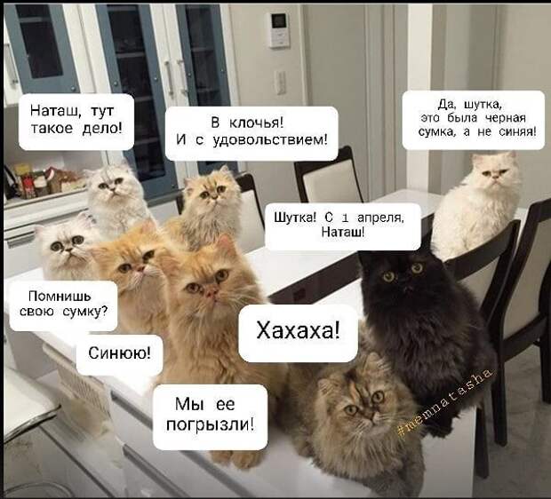 А как вы отметили 1 апреля? А как вы отметили 1 апреля?