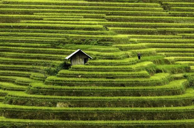 vietnam-mosaic-of-contrasts-by-photographer-rehahn-3__880