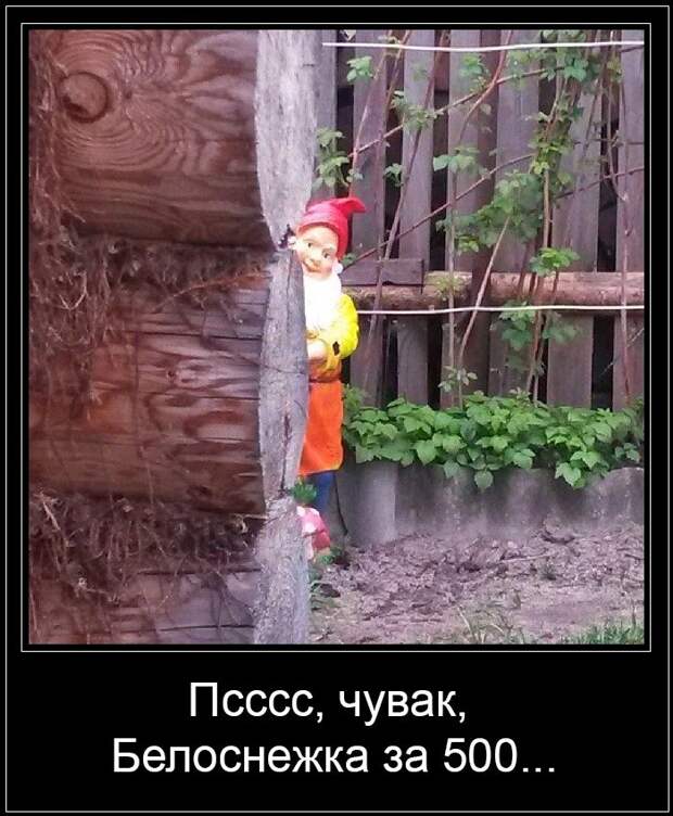 Демотиваторы  демотиваторы, прикол, смех, юмор