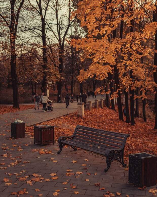 И снова парки Москвы