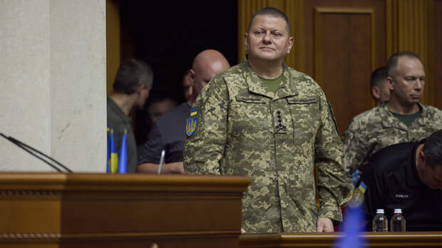 Пожирают друг друга: На Украине готовятся записать Залужного в предатели