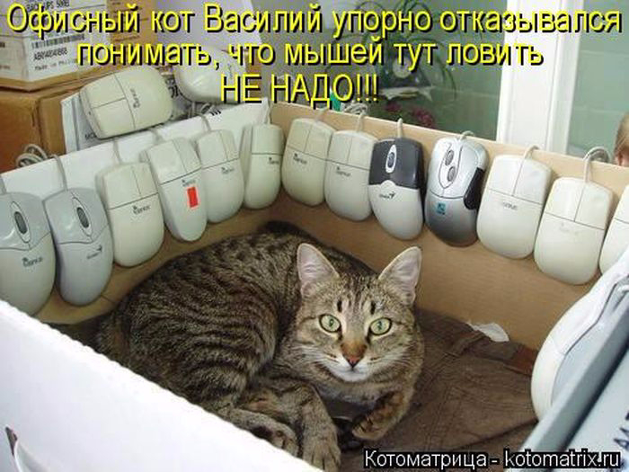 1433454553_25 (700x525, 329Kb)