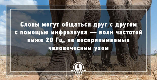 9 интересных фактов о мире в мире, факты