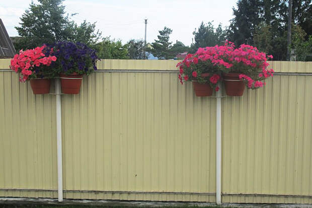 Профнастил, несмотря на то, что сегодня имеется много различных материалов для изготовления заборов, по-прежнему остается самым востребованным.-5