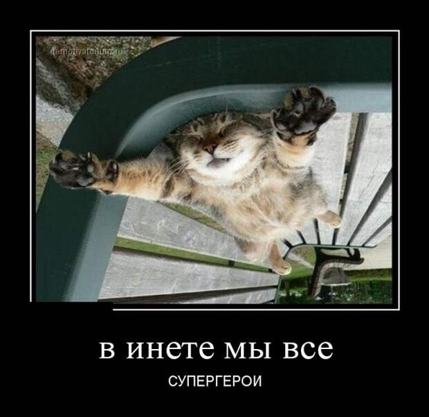 Демотиваторы (30 фото) Демотиваторы (30 фото)