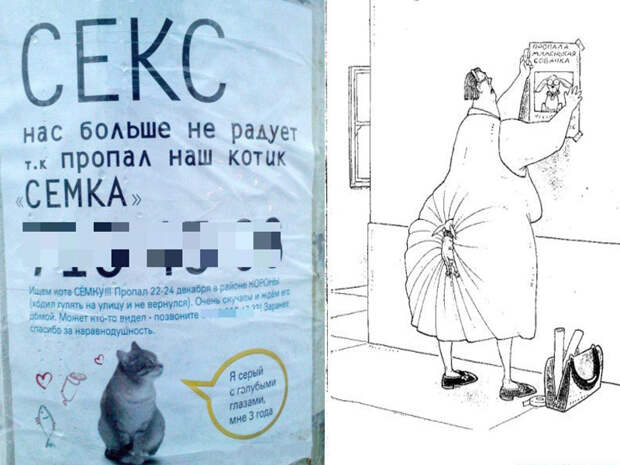 Остроумные объявления о пропаже животных, которые заставят улыбнуться животные, коты, прикол, юмор