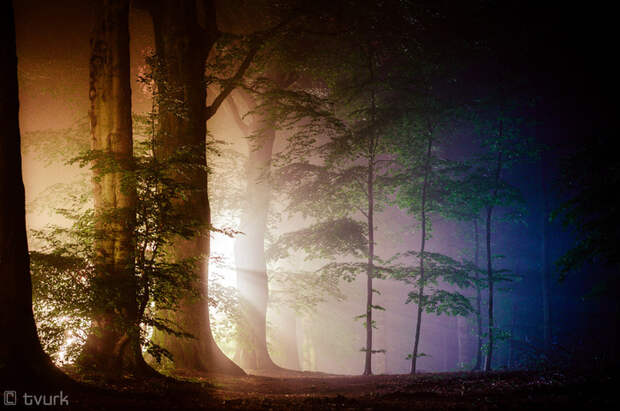 streetlight_sorcery_by_tvurk-d6b8fuf (700x465, 430Kb)
