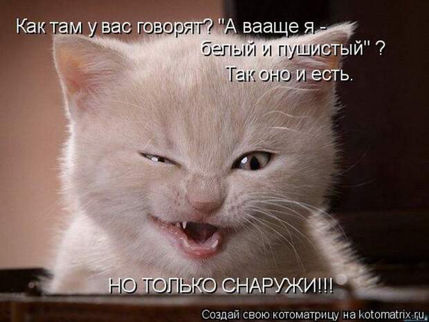 Мысли вслух :)