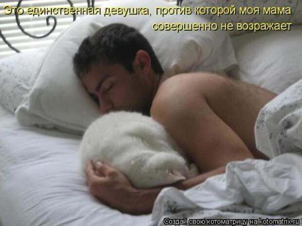 Котоматрица Котоматрица