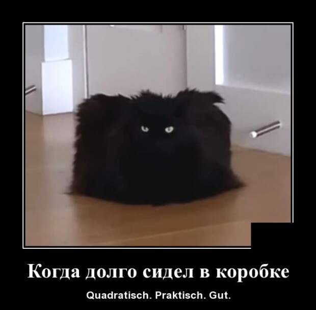 www.vsyako.net