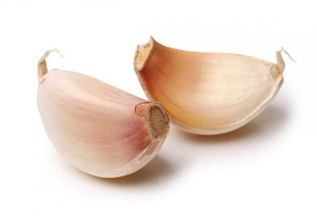 Проростки чеснока лучше удалить. /Фото: static8.depositphotos.com Проростки чеснока лучше удалить. /Фото: static8.depositphotos.com