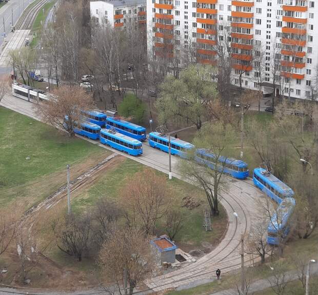 На смену «Татрам» новые «Витязи» будут приходить постепенно