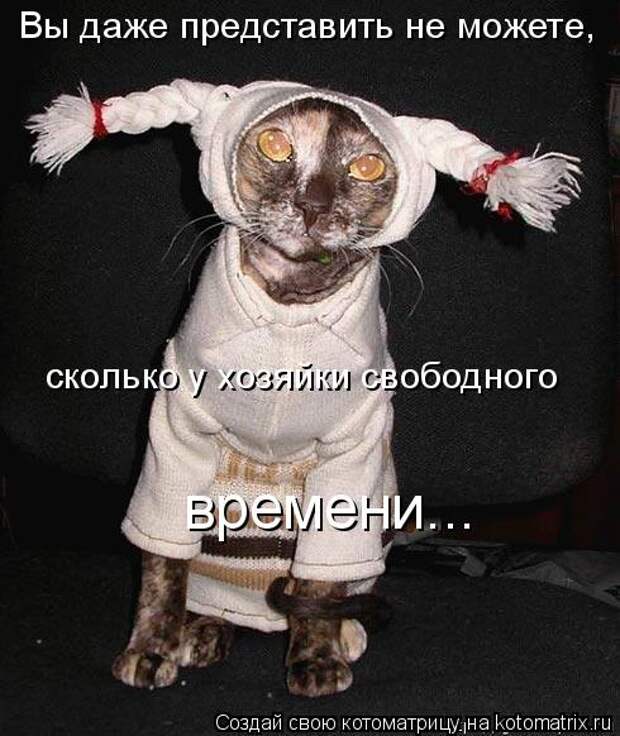 Подборка прикольных котоматриц