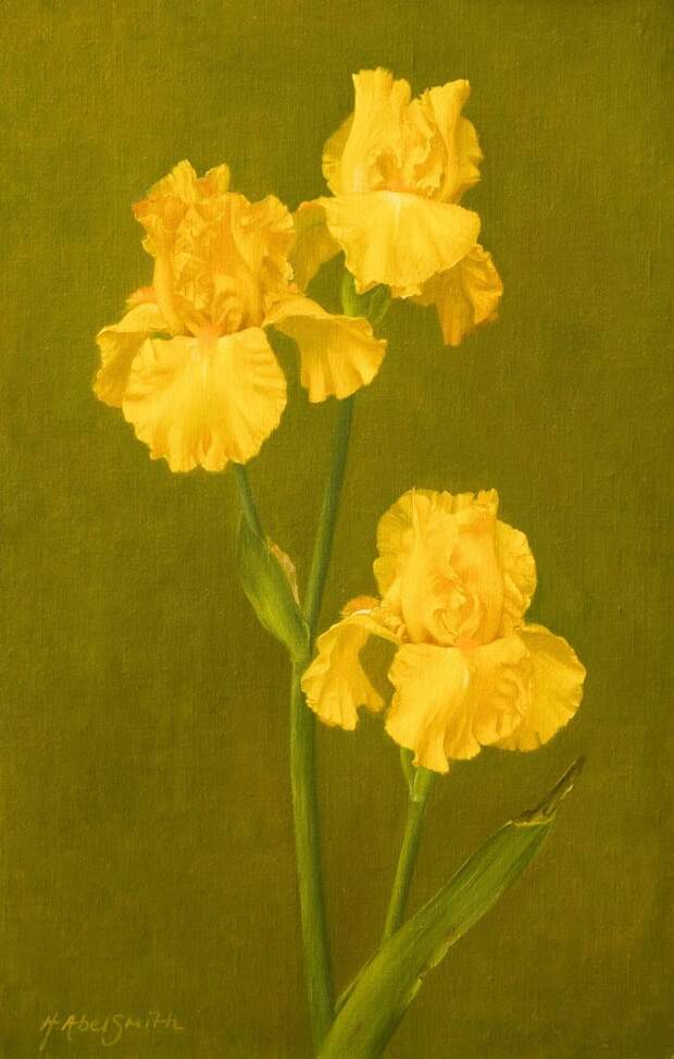 Художник Henrietta Abel Smith