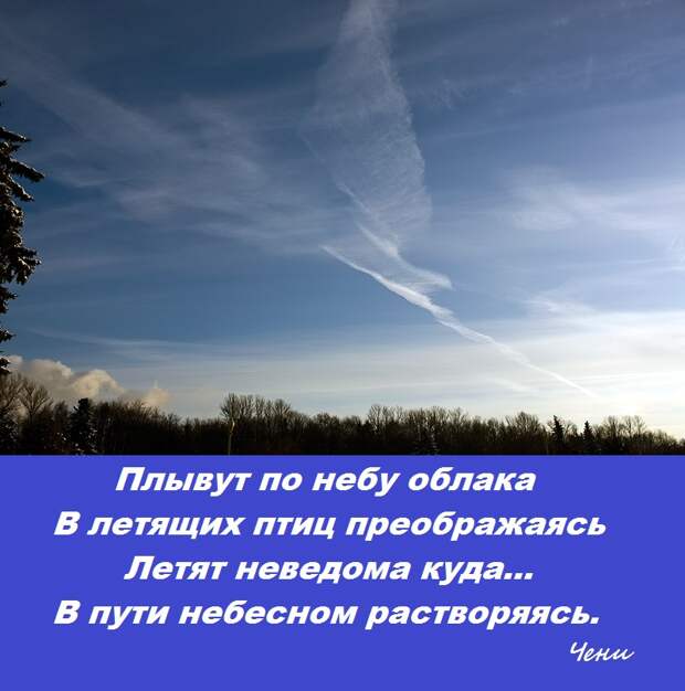 Голос красоты звучит. Пути небесные. Голос красоты звучит тихо он проникает только в самые чуткие уши. Данные улетают в облако. На Лазурном небе плывут или летят.