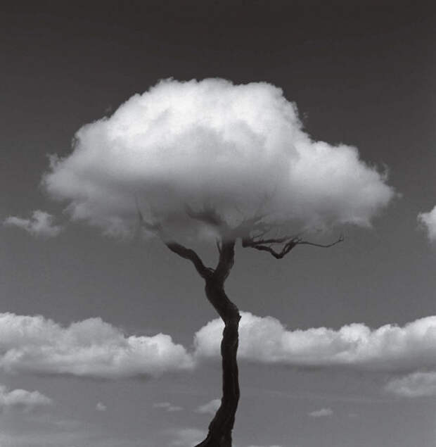 Black And White Photography