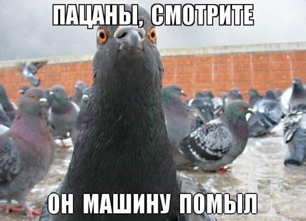 1440840956-ec21997141bca9010234992b858090e9