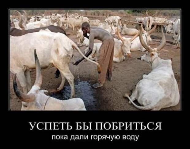 Демотиваторы всякие, смешнее не придумаешь.