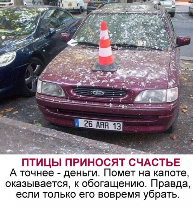 Самые, распространенные, суеверия, автомобилистов, машины, автомобили