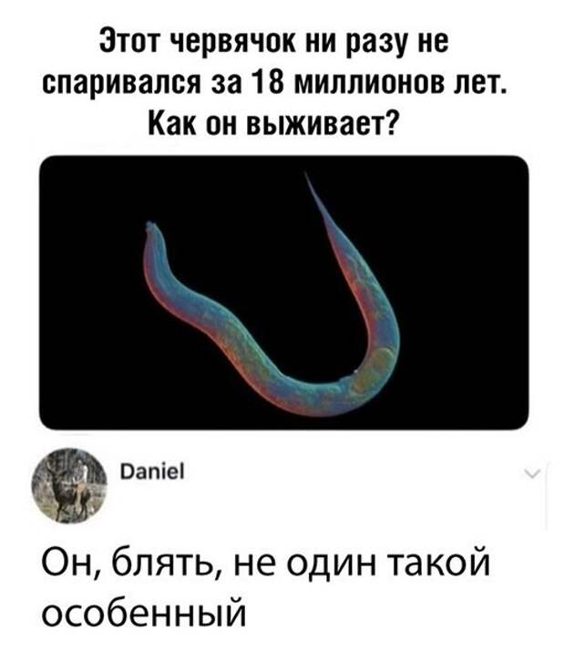 Прикольные и смешные картинки