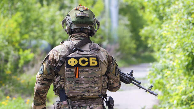 ФСБ пресекла в Подмосковье покушение на сотрудника Минобороны