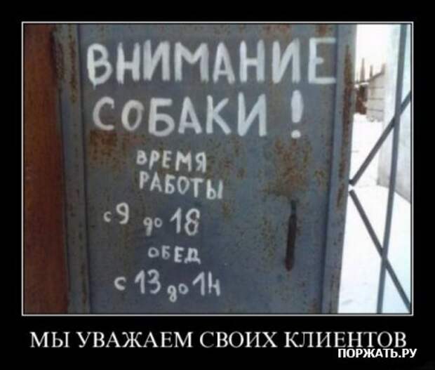 Масса демотиваторов.