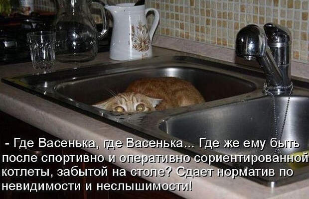 image (640x413, 217Kb)