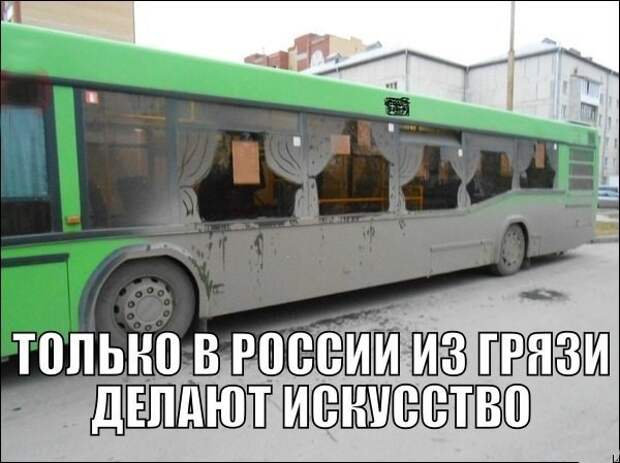 Смешные картинки с надписями видео, прикол