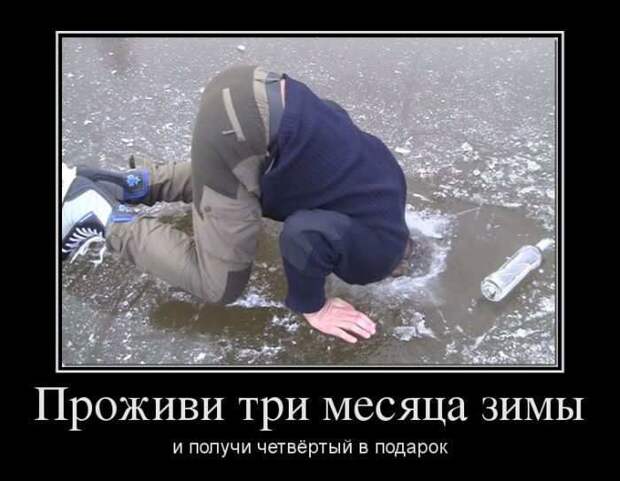 Демотиваторы (30 фото)