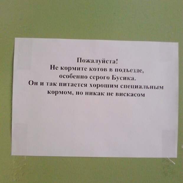 30 шедевральных объявлений из наших подъездов люди, объявления, подъезд, позитив, юмор