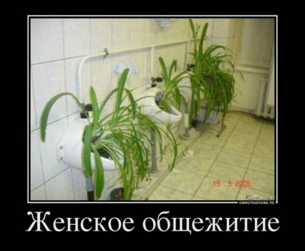 Демотиваторы это полезные приколы.