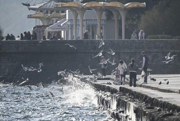 Россияне полюбили свадебный туризм