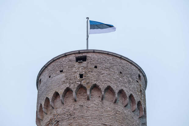 В посольстве России высказались о переговорах с Эстонией по границе