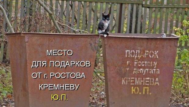 Котоматрица 9