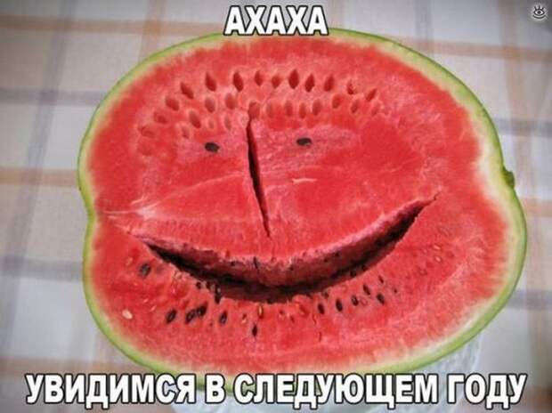 Вот такая наша забавная жизнь 0