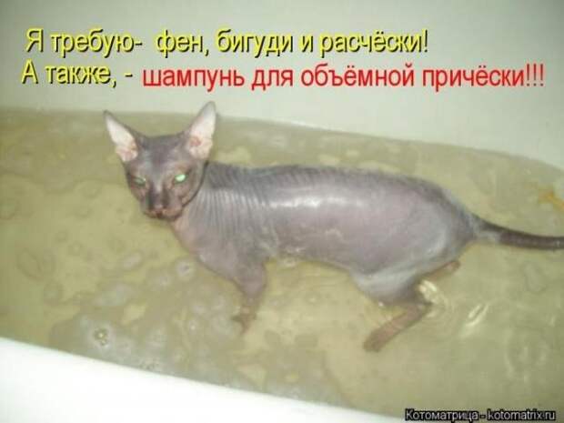 Позитивные зверушки. Весёленькие фото Позитивные зверушки. Весёленькие фото
