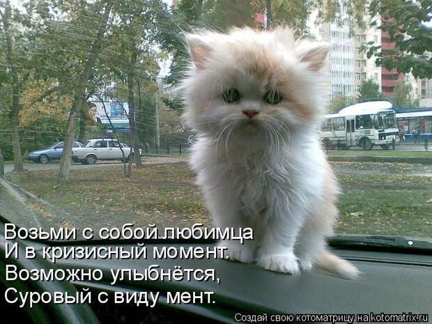 Мысли вслух :)