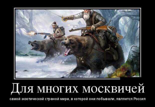 Демотиваторы (30 фото)