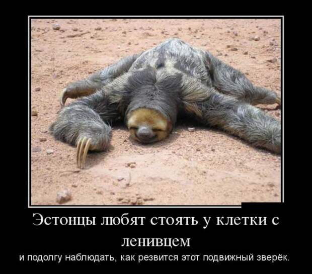 Демотиваторы бревно, демотиваторы, юмор