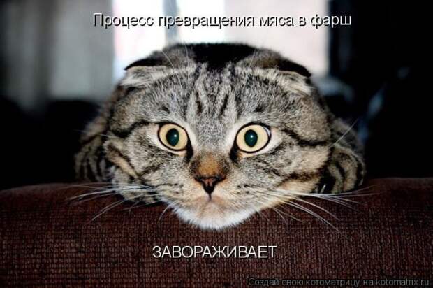 Мысли вслух :)