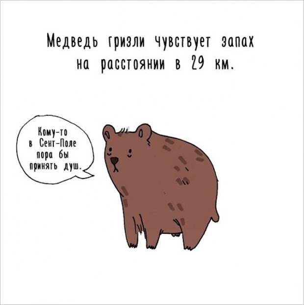 Интересные факты о животных в забавных рисунках (17 картинок)