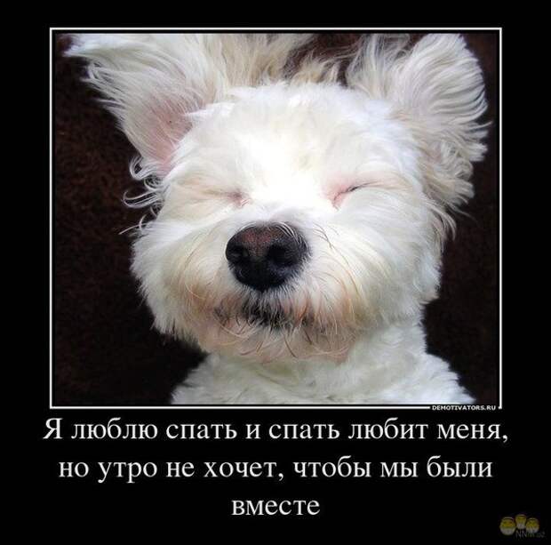 http://content.foto.mail.ru/mail/<a href=