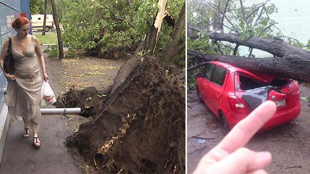 Ураган вырвал с корнем огромные деревья в Москве