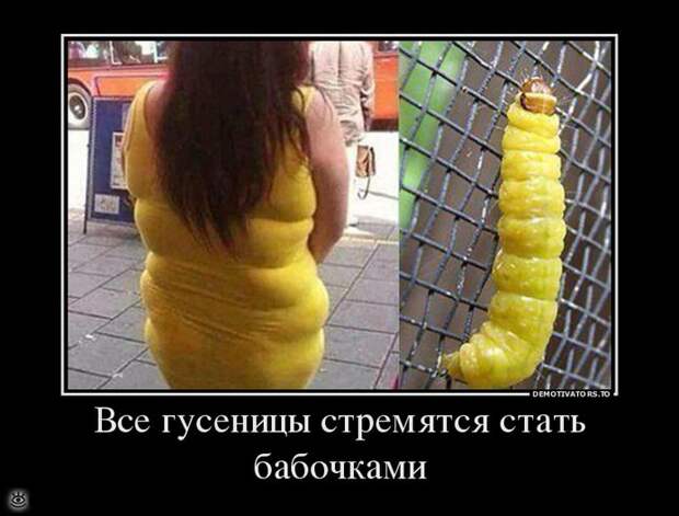 Безвозмездные демотиваторы 15