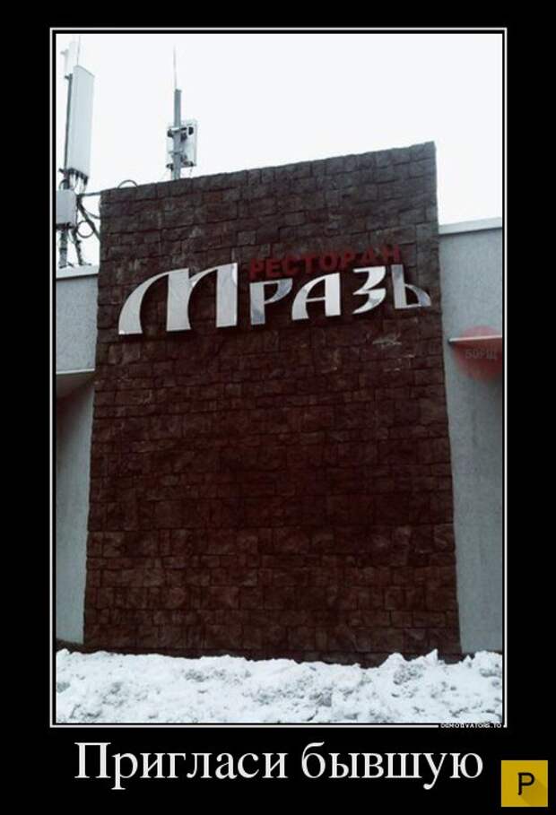 Зри в корень  (32 фото)