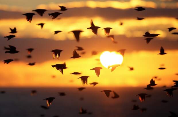 25-photos-that-show-that-life-is-actually-beautiful-artnaz-com-20