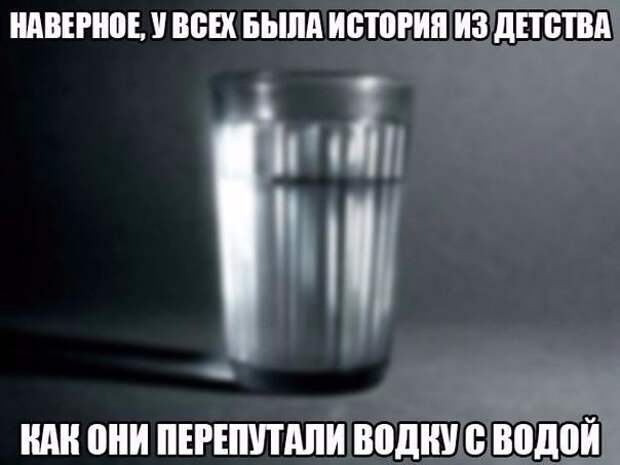 Смешные картинки с надписями видео, прикол