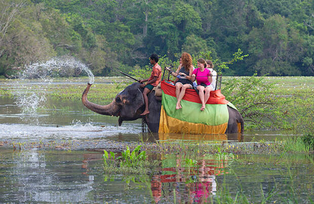 Шри-Ланка вводит платные визы для всех категорий туристов с 1 июня